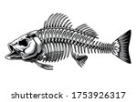 Bass Fish Skeleton Monochrome...