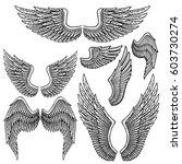 Set Of Monochrome Bird Wings Of ...