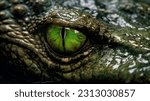 Wildlife crocodile green...