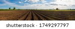 panorama photo rows of soil... | Shutterstock . vector #1749297797