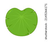 Lily pad vector. Lily cartoon vector on white background.
