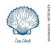 Seashell  Sea Shell  Nature...