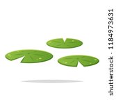 Water Lily Pad Vector Isolated