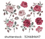 Vintage Roses Set. Watercolor...