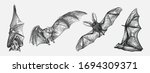 hand drawn sketch set of bats.... | Shutterstock .eps vector #1694309371