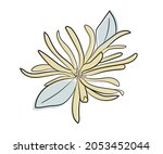 illustration of hamamelis or... | Shutterstock .eps vector #2053452044