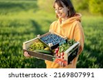 Cheerful woman carrying boxes with fresh juicy berries, fruits and vegetables on farmland. Concept of healthy food and local farming