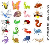 Set Of Insect Cartoon Character ...