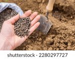 Small photo of Eco friendly gardening background. Preparing soil for planting, fertilizing with compressed chicken manure pellets. Organic soil fertiliser.