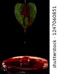 Small photo of A bleeding leaf with drops splashing on a cutted trunk on black background, that represent lack of respect for humanity towards nature.