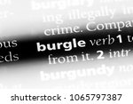 Small photo of burgle word in a dictionary. burgle concept.