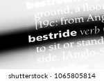 Small photo of bestride word in a dictionary. bestride concept.