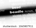 Small photo of beadle word in a dictionary. beadle concept.