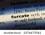 Small photo of furcate furcate concept.