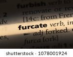 Small photo of furcate word in a dictionary. furcate concept