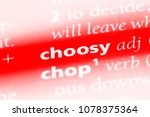 Small photo of choosy word in a dictionary. choosy concept