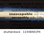 Small photo of inescapable word in a dictionary. inescapable concept.