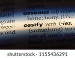 Small photo of ossify word in a dictionary. ossify concept.
