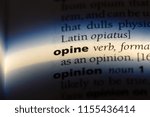 Small photo of opine word in a dictionary. opine concept.