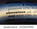 Small photo of obnoxious word in a dictionary. obnoxious concept.