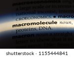 Small photo of macromolecule word in a dictionary. macromolecule concept.