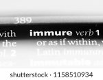 Small photo of immure word in a dictionary. immure concept.