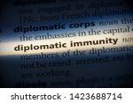 Small photo of diplomatic immunity word in a dictionary. diplomatic immunity concept.