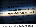 Small photo of weakling word in a dictionary. weakling concept, definition.