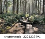 Small photo of Trail to Cape Flattery Point, Makah Reservation, Washingtom State