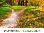 Small photo of The wide walking path is divided into two narrow ones, diverging in different directions. Autumn landscape in the rays of the setting sun
