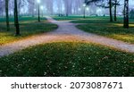 Small photo of Paths, trails, routes converge and diverge in different directions in the foggy twilight and the light of night lanterns in the park in late autumn.