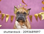 French Bulldog dog wearing New Year's Eve part headband with text 'Happy new year' in front of pink background