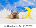 Cute fawn French Bulldog dog puppy between fluffy clouds with moon and stars