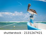 Pelican Sitting On A Boat....