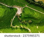 Aerial view of tea plantation in Gorreana, Azores. Nature landscape background.