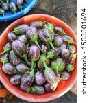Small photo of Indian brinjal Baingan Aubergines closeup purple color fresh harvested farming market Maharashtra India