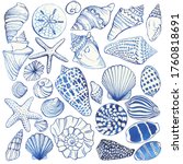Set Of Blue Seashells And...