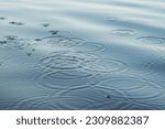 Small photo of The surface of the water is perturbed by the drops of rain. Splashes on the water. Abstract background.