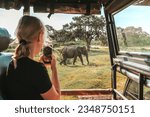 Small photo of Wildlife safari.Eco travel in the jungle with wild animals elephants.Tropical tourism in the wild life of elephants.Road trip jungle,eco safari.Elephant wild life,wild life banner,eco travel