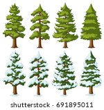 different shapes of pine trees...