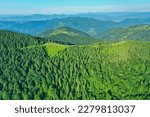 Aerial drone view of a country road through green hills on the mountains. Tops of trees in a coniferous forest from a bird's eye view.
