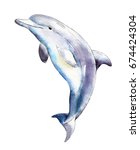 Watercolor Dolphin   Hand Drawn ...
