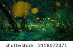 Small photo of Firefly flying in the forest. Fireflies in the bush at night in Prachinburi Thailand. Long exposure photo.