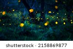 Small photo of Firefly flying in the forest. Fireflies in the bush at night at Prachinburi, Thailand. Bokeh light of firefly flying in forest night time. Add noise, film grain and add motion blur, selective focus.