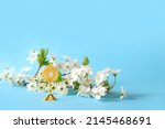 Small photo of symbol of Catholic Sacrament of Communion and white flowers on blue background. Golden JHS christogram. Eucharist, first communion, Christianity religion, faith in God. Church holiday concept