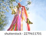 colorful ribbons on spring tree and butterflies on sunny natural background. floral decor, Symbol of Beltane, Wiccan Celtic Holiday beginning of summer season. witchcraft, folk tradition, wicca ritual