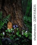 Small photo of tree with Little fairy wooden door in forest, natural abstract background. Fairy tale tree house in woodland, pixie or elf home. beautiful mystery magic atmosphere. wild fantasy aesthetic