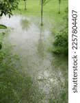 Small photo of The garden and yard are flooded. Consequences of downpour, flood. Rainy summer. Vertical