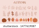 Autumn Collection Of Leaves ...