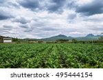 Small photo of Leshia is the first natural reserve area of Yunnan province named by "Wetland"